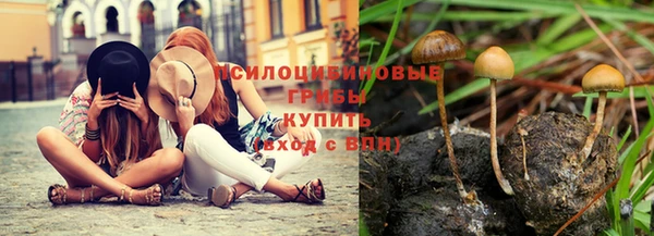трава Вяземский