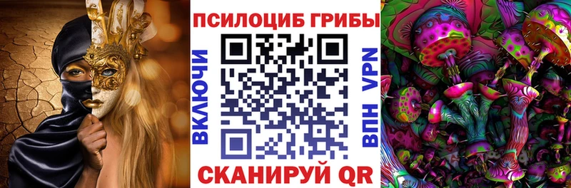 Купить закладки  Темников  Псилоцибиновые грибы Psilocybine cubensis 